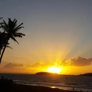 https://free-wifi-1st-floor-apartment.top-hotels-puertorico.com